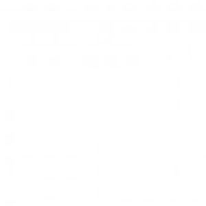 Meet your Posher, Sadie